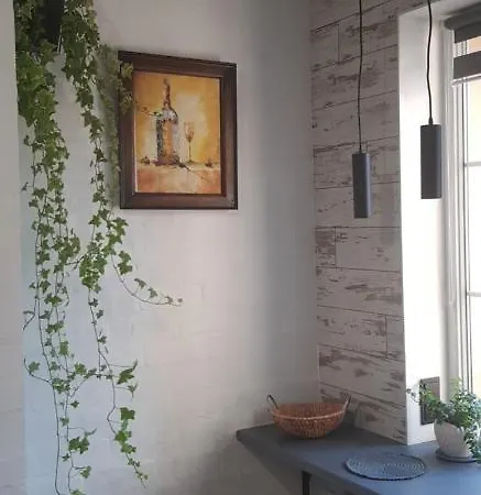 Dailidziu Apartamentai Апартаменты *