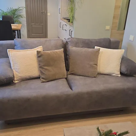 Dailidziu Apartamentai * Klaipeda