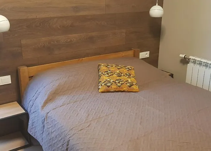 Dailidziu Apartamentai Apartmán Klaipėda